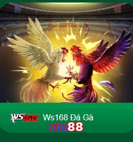 siu88